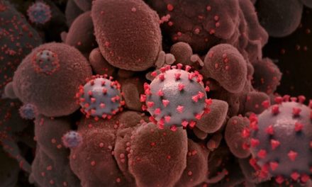LA VARIENTE BRITANICA DEL CORONAVIRUS BARRERA L MUNDO