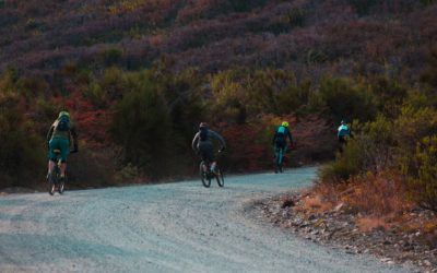 Una excursión para avanzar en educación vial