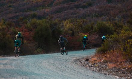 Una excursión para avanzar en educación vial